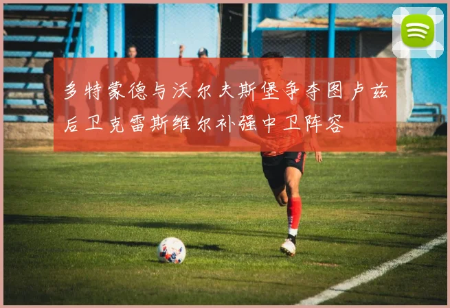 多特蒙德与沃尔夫斯堡争夺图卢兹后卫克雷斯维尔补强中卫阵容